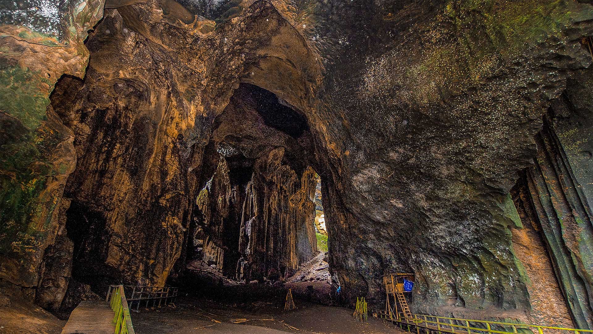 Gomantong Cave